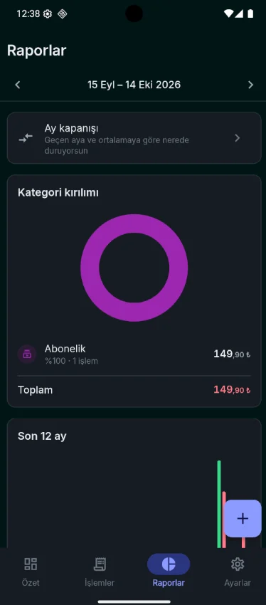 Raporlar — kategori kırılımı