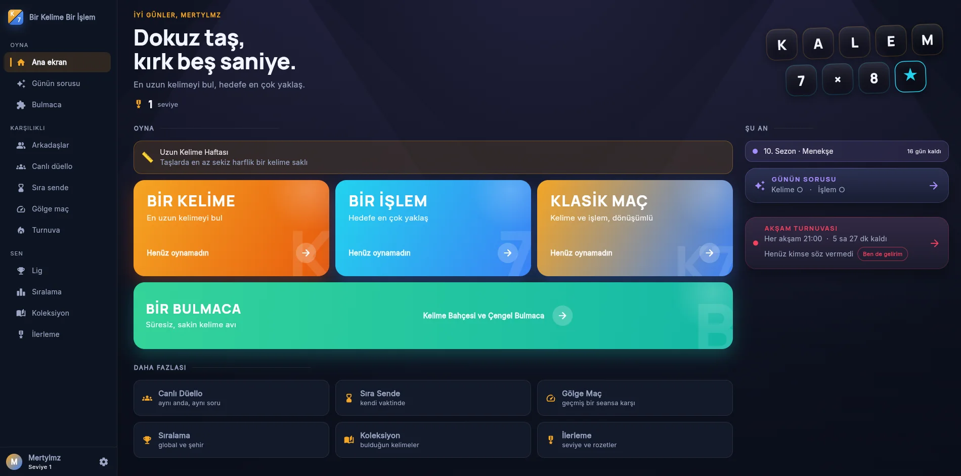 Web — ana ekran